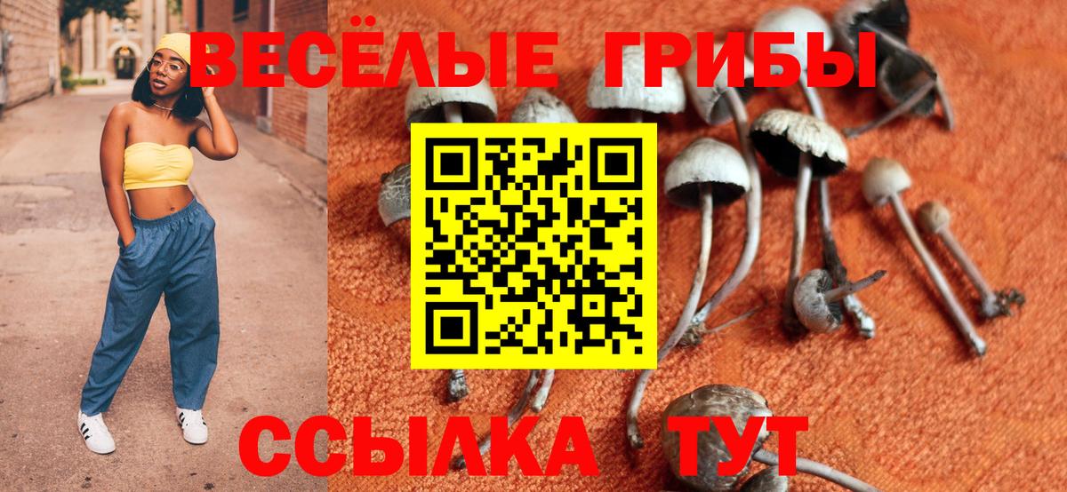 Усинск  где продают   Вход с VPN  Галлюциногенные грибы MAGIC MUSHROOMS  Галлюциногенные грибы Cubensis 