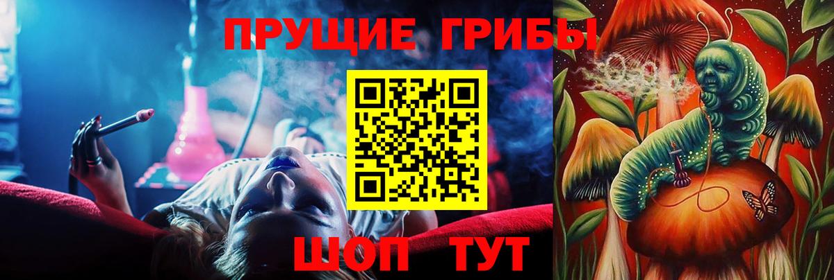 Псилоцибиновые грибы Psilocybe Усинск